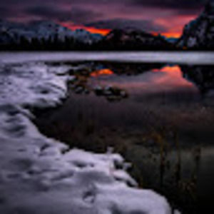 Meet your Posher, William